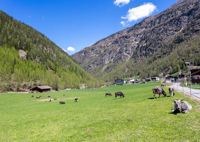 Apartamento Gletschertraum